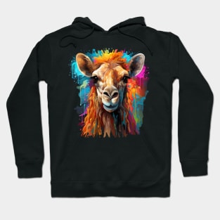 Camel Rainbow Hoodie